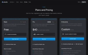 AISafe Labs pricing page with plans and prices — screenshot of the coding AI tool, 2026-10-01