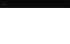 Burp pricing page with plans and prices — screenshot of the video AI tool, 2026-10-01