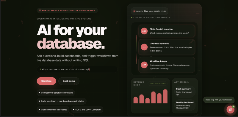 AI for Database homepage screenshot, productivity & writing AI tool