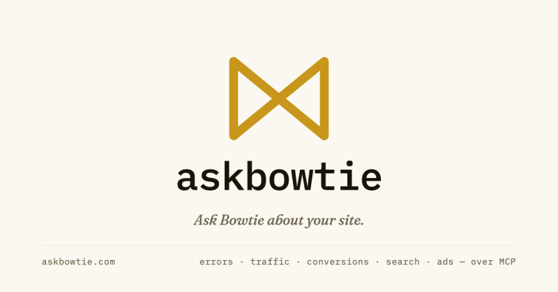 askbowtie homepage screenshot, research & search AI tool