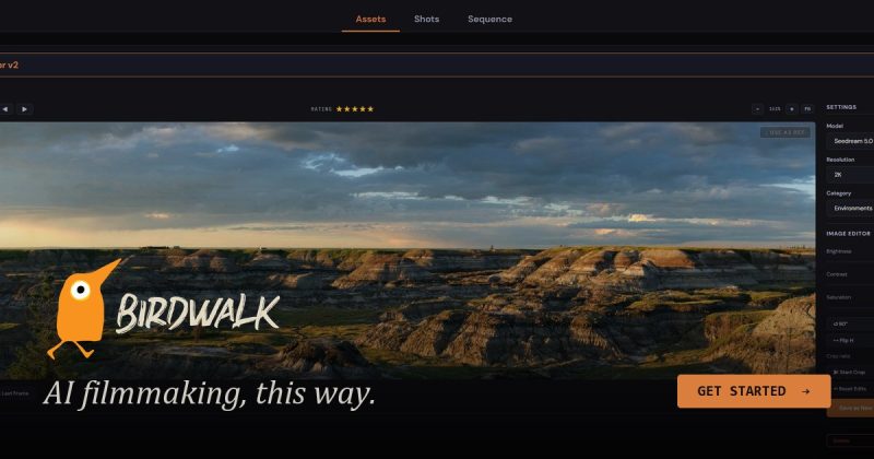 Birdwalk homepage screenshot, video AI tool