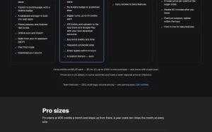 Buildra pricing page homepage screenshot, coding AI tool
