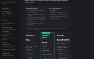 Cycles pricing page homepage screenshot, coding AI tool