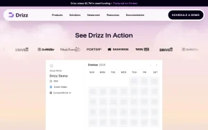 Drizz pricing page with plans and prices — screenshot of the coding AI tool, 2026-10-02