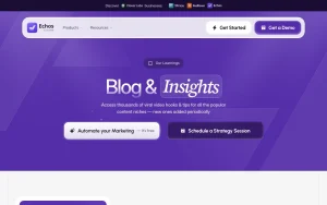 Echos blog — screenshot of the video AI tool, 2026-10-02