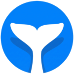 Intempt logo