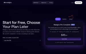Madgicx pricing page with plans and prices — screenshot of the productivity & writing AI tool, 2026-10-01