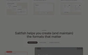 Saltfish homepage page homepage screenshot, video AI tool