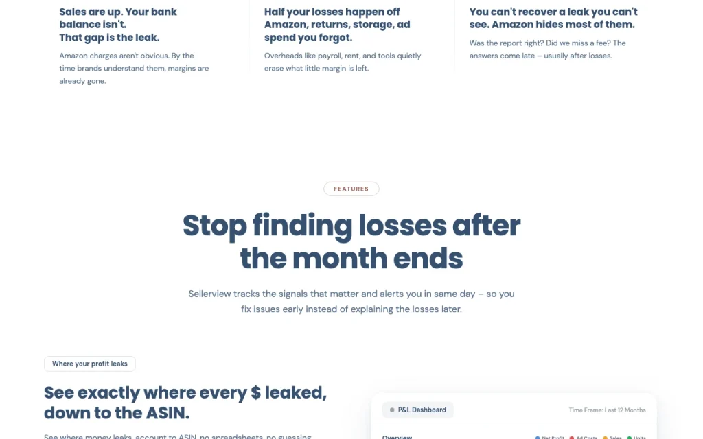 Sellerview.ai homepage — screenshot of the productivity & writing AI tool, Oct 1, 2026