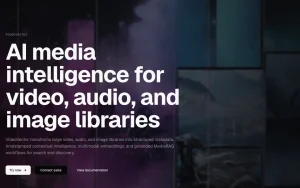 VideoVector homepage page homepage screenshot, video AI tool
