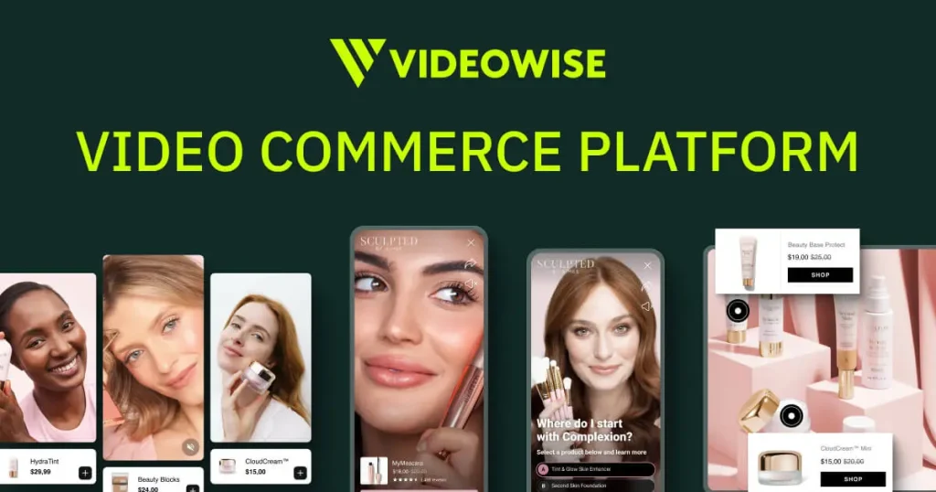 Videowise homepage screenshot, video AI tool