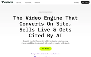 Videowise homepage — screenshot of the video AI tool, 2026-10-01