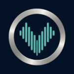 Vowise logo
