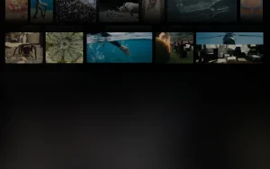 Whisk (Google Labs) blog — screenshot of the image generation AI tool, 2026-10-02